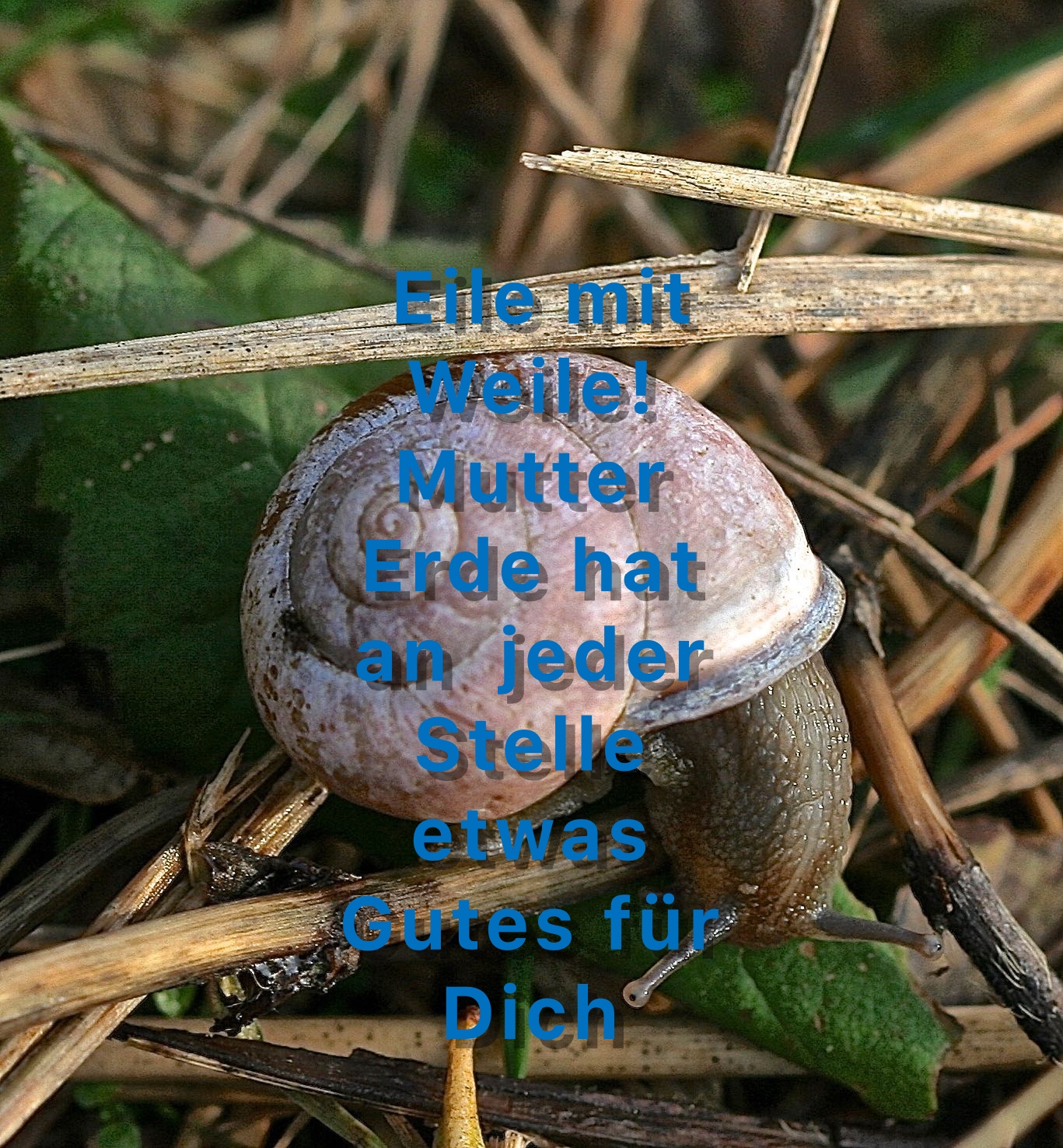 Eile mit Weile